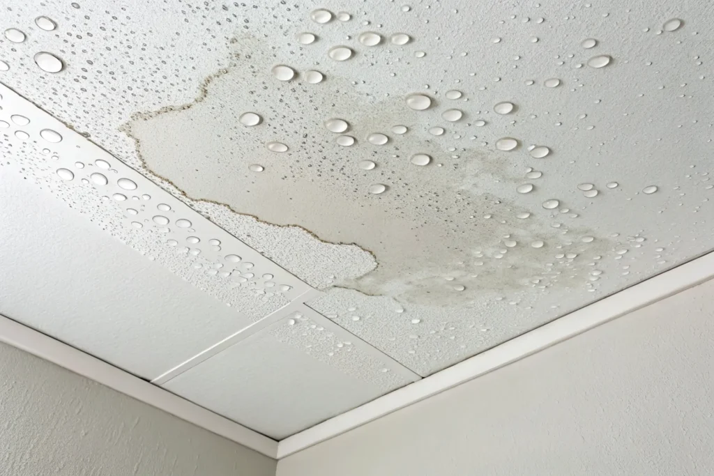 Indianapolis IN Leak Detection