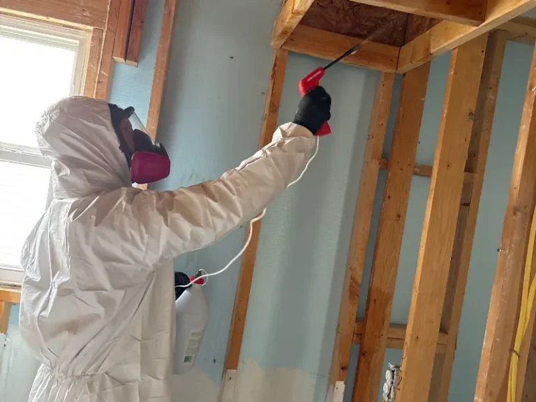 Person in protective suit and mask spraying insecticide in a wooden-framed room.