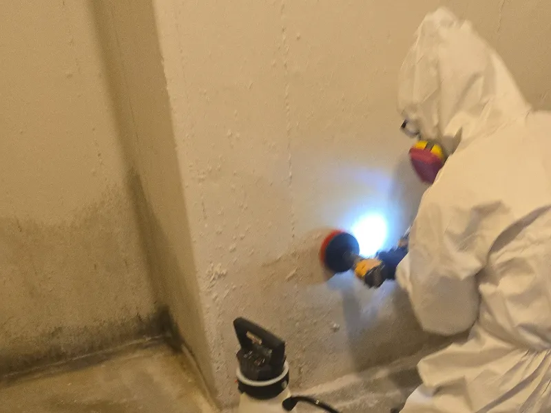 Person in protective suit and mask using a power tool to clean or treat a moldy wall corner.